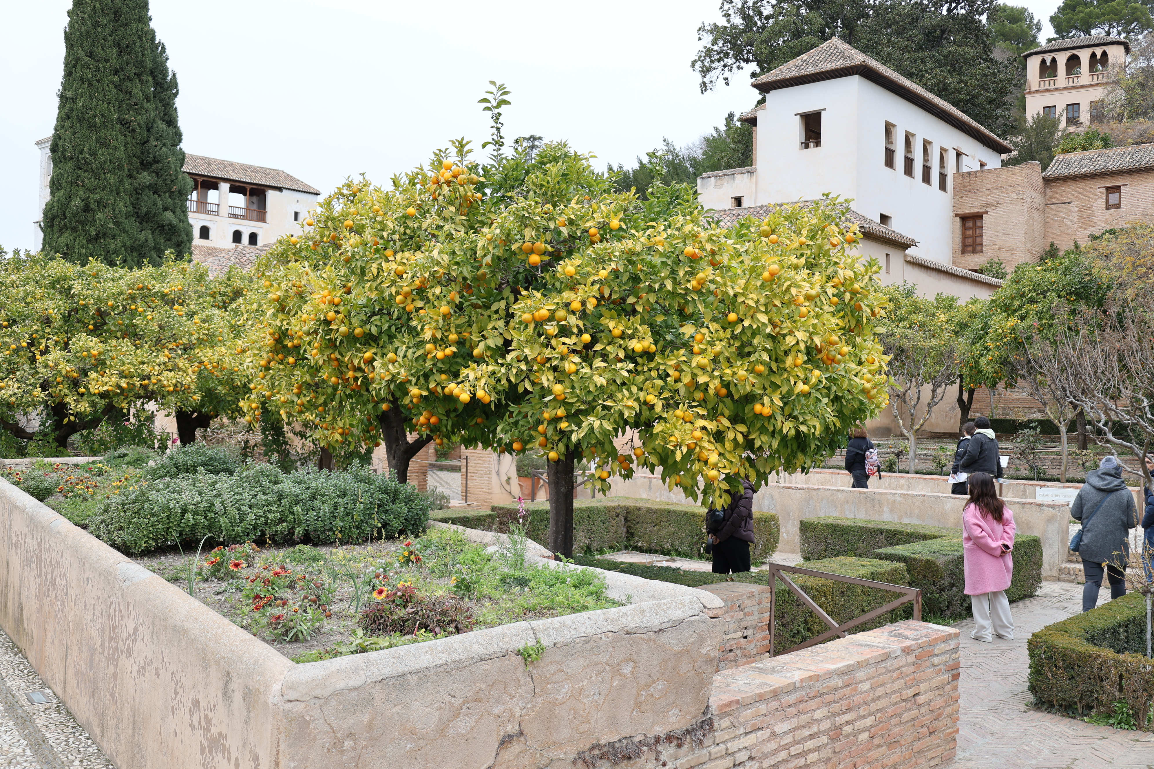 Alhambra